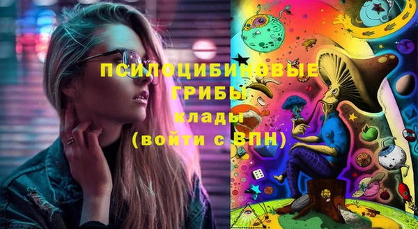 трава Алзамай