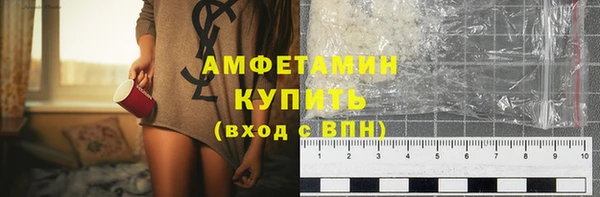 СК Алексин