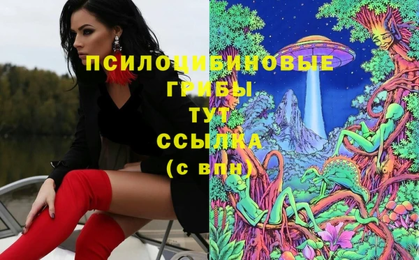 трава Алзамай