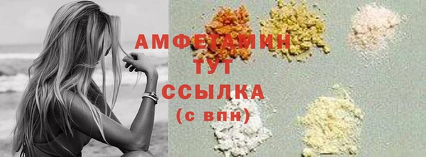 СК Алексин