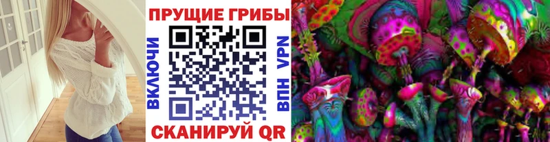 где можно купить   Анапа  Псилоцибиновые грибы Magic Shrooms 